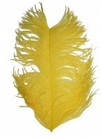 Ostrich plumes strutsherl yellow
