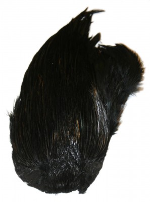 Indisk Tuppnacke - Svart