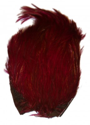 Indisk Tuppnacke - Magenta